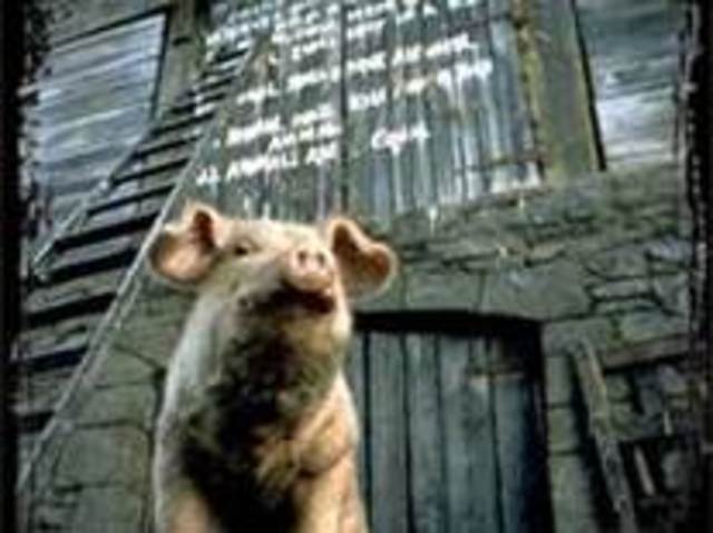 snow ball asked if there will still be suger after the rebellion