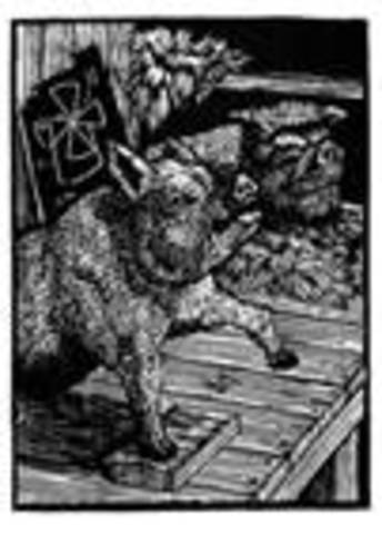 understanding snow ball