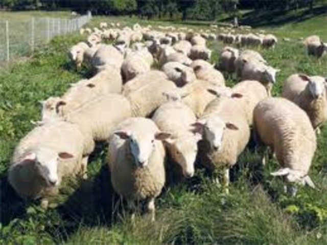 Changing of rule 1 and 2