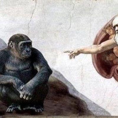 Timeline: EVOLUCIÓN