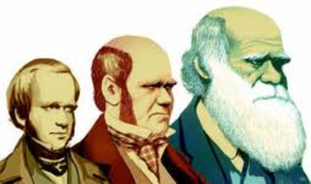 TEORÍA NEODARWINISTA