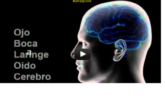 Curso de lectura rápida