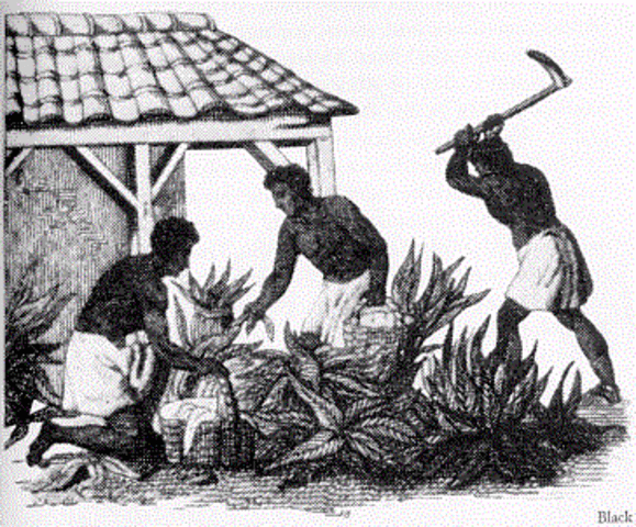 Beginning of Portuguese slave trade