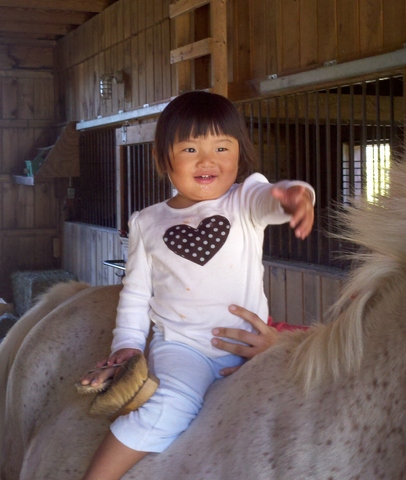 Mi hermana llegó a casa de China