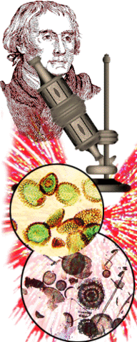 Robert Hooke (deel 2)