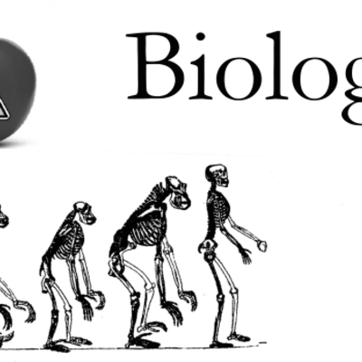 Timeline: biologen aan het werk