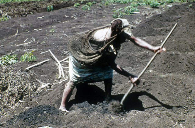 Villefort Turns into a Madman