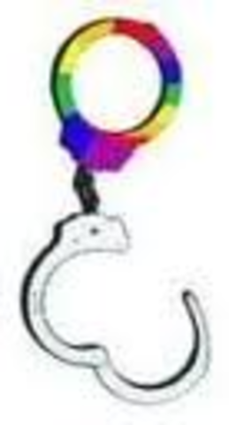 300 hommes sont arrester pour etre homosexual.