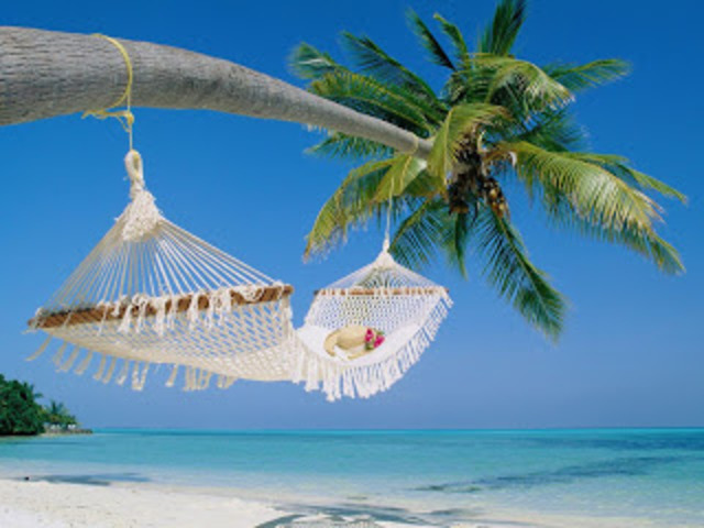 Biosocial: Mid-life Crisis