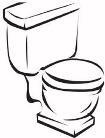 Cognitive: Toileting