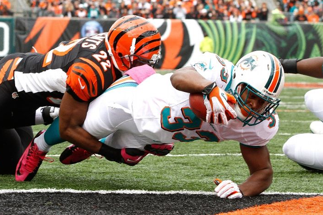 Cincinnati Bengals lose to the Miami Dolphins 17-13