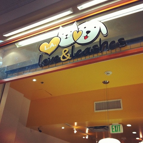 L.A. Love and Leashes, A Resuce Only Pet Store that works with LAAS, opens in the Westside Pavilion