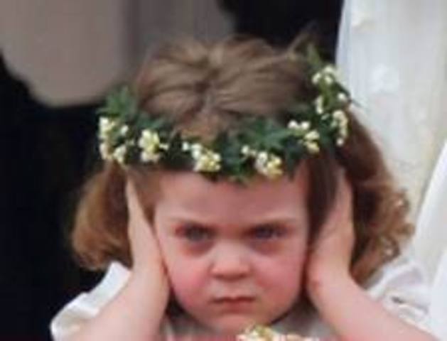 Beetle Helps Jane with her Job