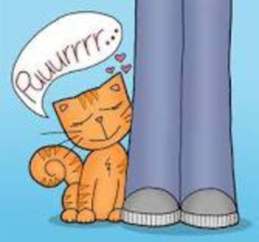 Alyce Names the Cat Purr