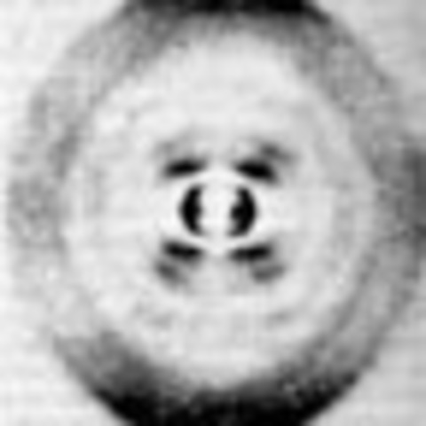 X-ray Diffraction of DNA