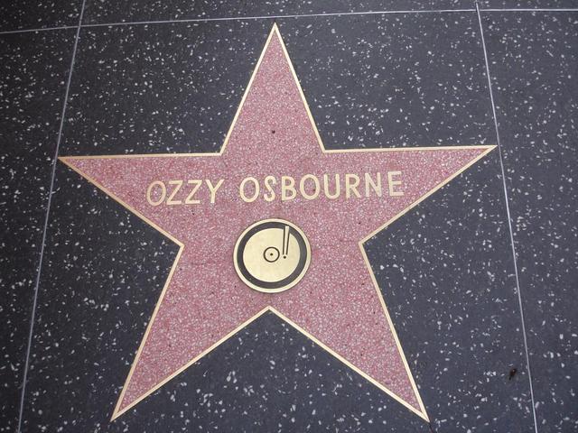 Hollywood Star