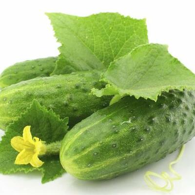 Timeline: Starting up a pickiling business