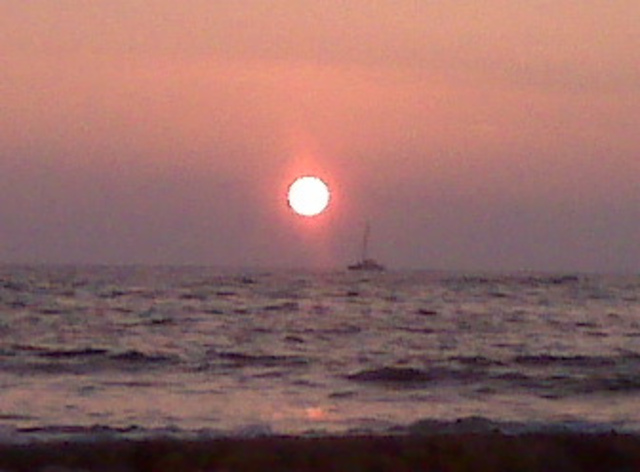 Maximillien and Valentine reunite