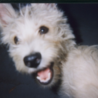 Timeline: History of Thanksgiving