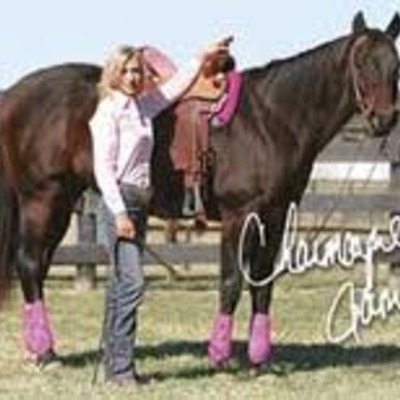 Timeline: charmayne james