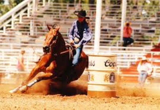 First Houston Rodeo Championship, First Year
