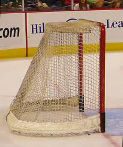 Goal Net Introduced