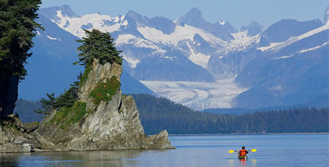 Kayaking fauna adventure