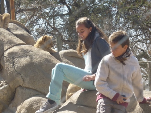 Moved to South Africa