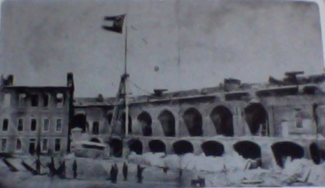 Daisy Moves to the South