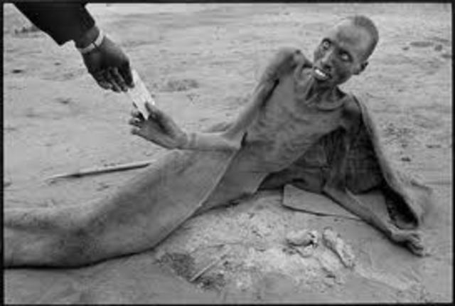 In 1854 Cairo ended state participation in the slave trade