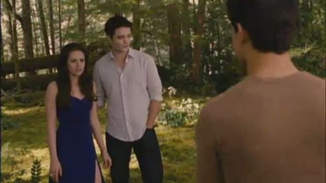 Jacob and Bella fight