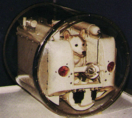 Laika , was the first mammal ever to be sent into space by Russia