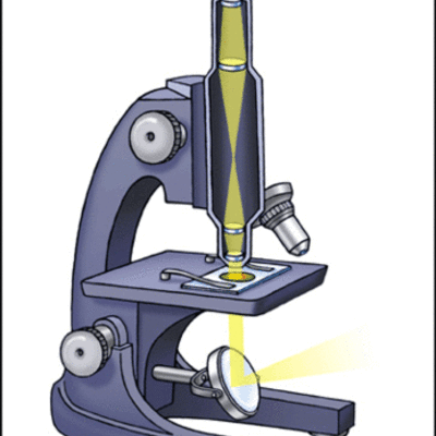 Timeline: Microscope Timeline