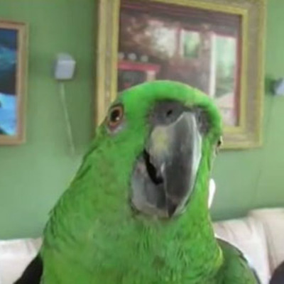 Timeline: Ett litet test