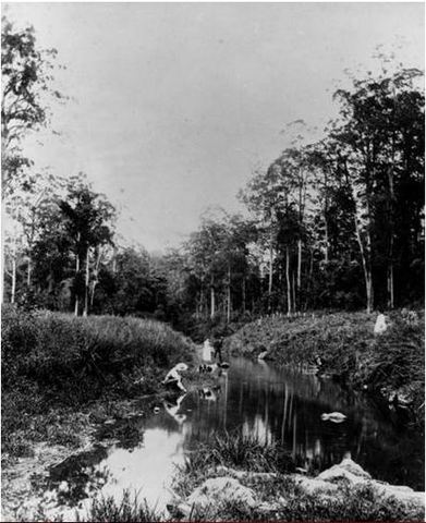 Outing at Gold Creek, Brookfield, 1890
