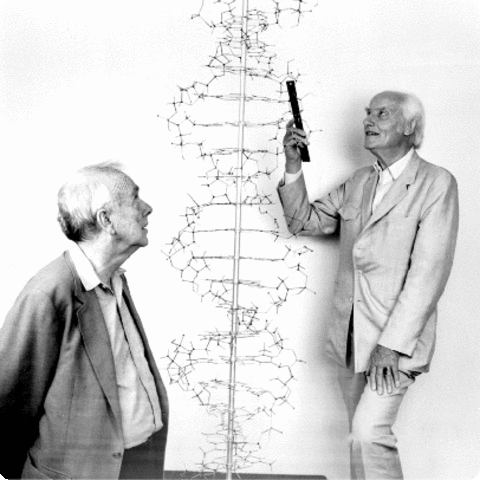 DNA ontdekking Watson en Crick