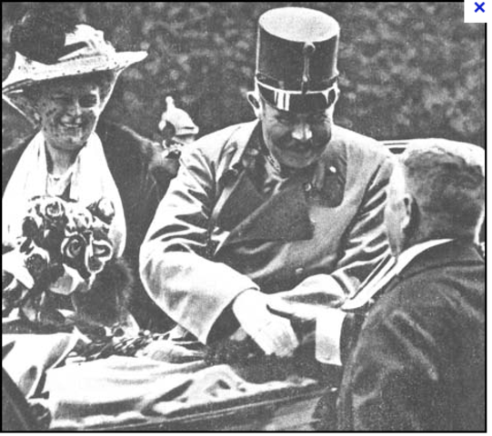 The Assassination of Archduke Ferdinand and Duchess Sophie