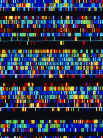 Human DNA Sequence Begins