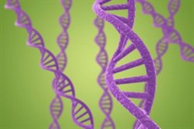 Researchers Identify Gene Linked to Bipolar Disorder