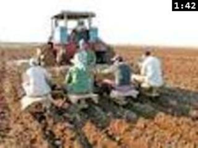 Evolucion De Las Plantas