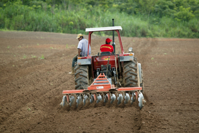 La Planta & Su Evolucion