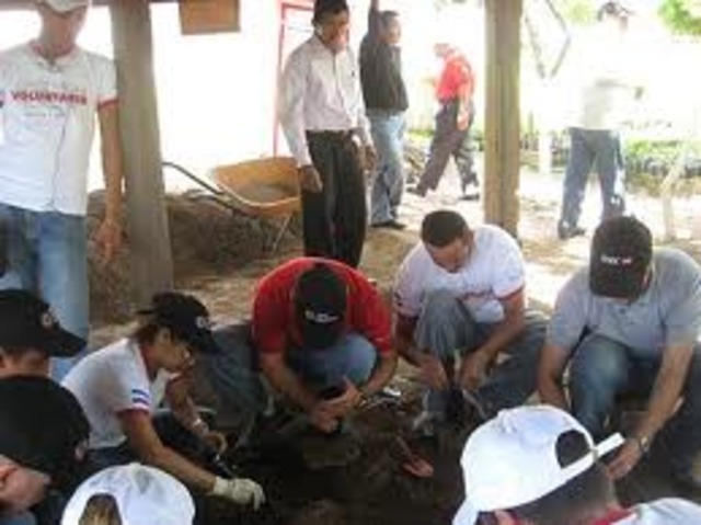 plantacion de la semilla