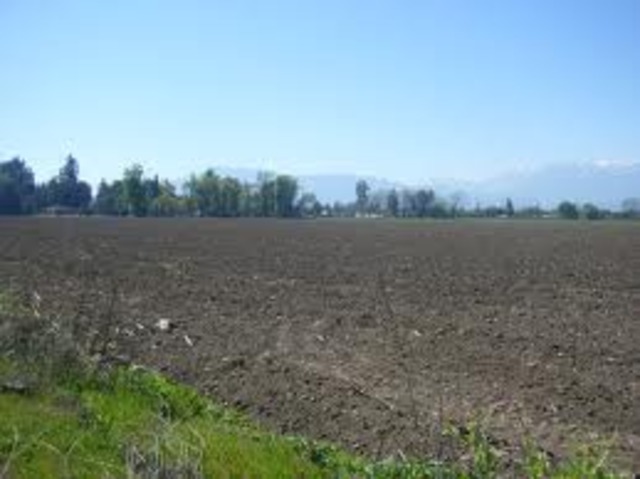 pasos para el ciclo de la reproduccionde la planta