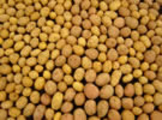 pasos de siembra vgp