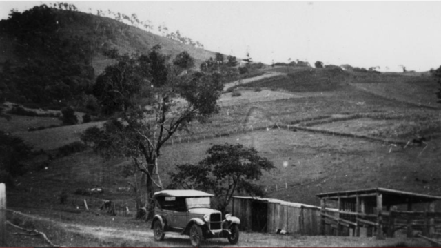 View of Mount Elphinstone from Brookfield, 1932
