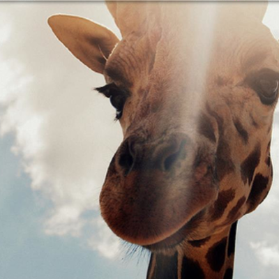 Timeline: Marian's Gorgeous First Quarter Timeline