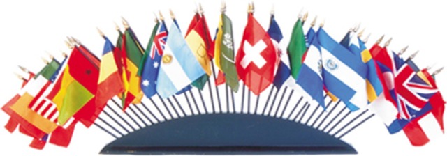 Международная деятельность