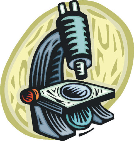 Научная работа