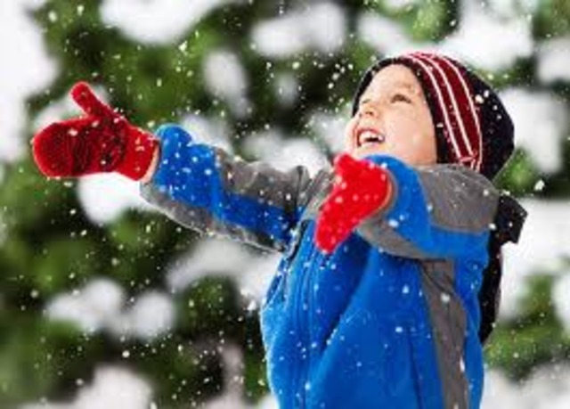 Цикл праздничных концертов "Новогодние каникулы"