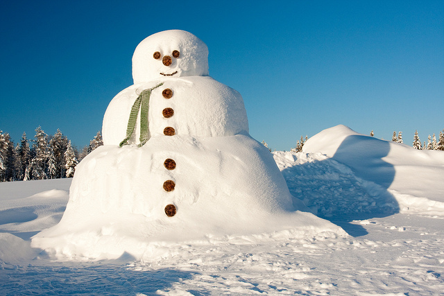 Цикл праздничных концертов  "Новогодние каникулы"